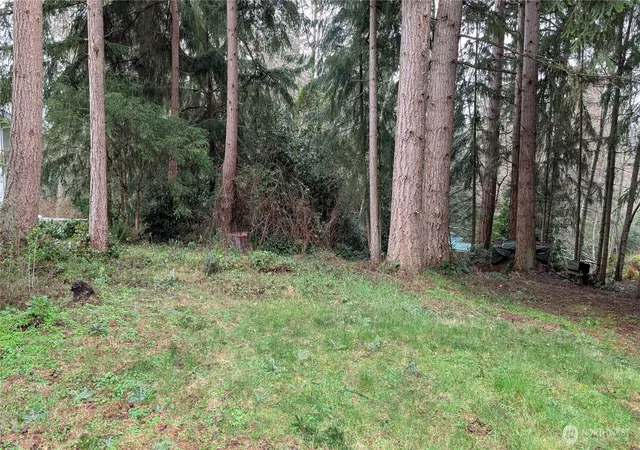 Photo 1 of Land for sale at 0 Worthy Pl, Greenbank, WA 98253 | MLS# NWM2489590 | Listing updated on 2026-09-17