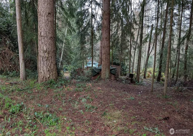 Photo 3 of Land for sale at 0 Worthy Pl, Greenbank, WA 98253 | MLS# NWM2489590 | Listing updated on 2026-09-17