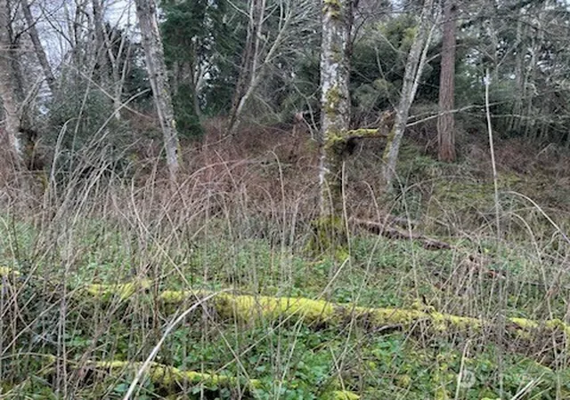Photo 4 of Land for sale at 0 Ewing, Clinton, WA 98236 | MLS# NWM2489766 | Listing updated on 2026-09-17