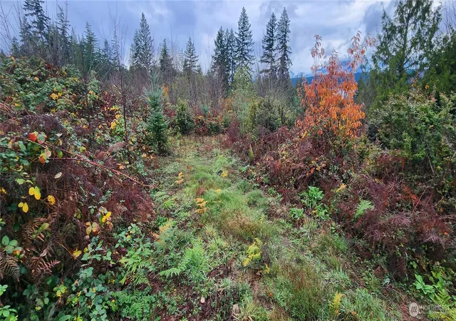 Photo 3 of Land for sale at 0 E Twanoh Hts Rd, Belfair, WA 98528 | MLS# NWM2489797 | Listing updated on 2026-09-17