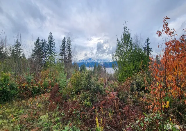 Photo 4 of Land for sale at 0 E Twanoh Hts Rd, Belfair, WA 98528 | MLS# NWM2489797 | Listing updated on 2026-09-17
