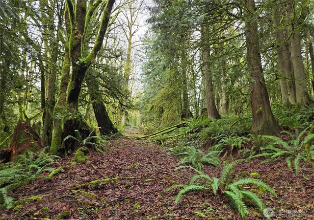 Photo 3 of Land for sale at 185 Xx 123rd (northern Lot) Ave NE, Arlington, WA 98223 | MLS# NWM2489812 | Listing updated on 2026-09-17