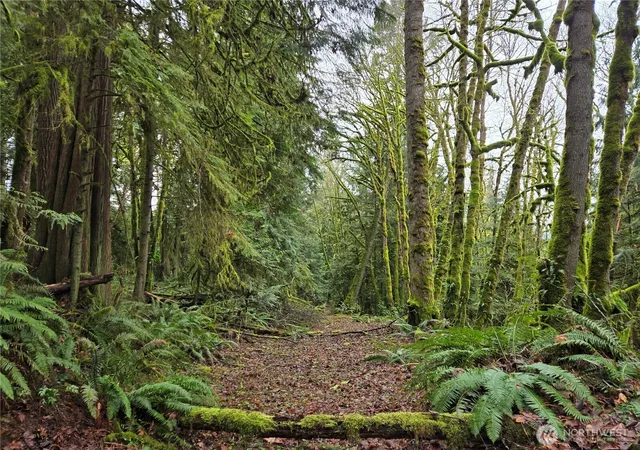 Land for sale at 184 Xx 123rd (central Lot) Ave NE, Arlington, WA 98223 | MLS# NWM2489832