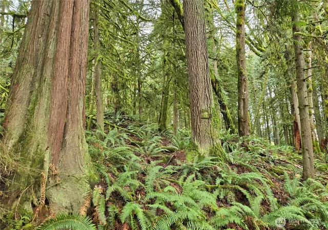Photo 2 of Land for sale at 184 Xx 123rd (central Lot) Ave Ne, Arlington, WA 98223 | MLS# NWM2489832 | Listing updated on 2026-09-17