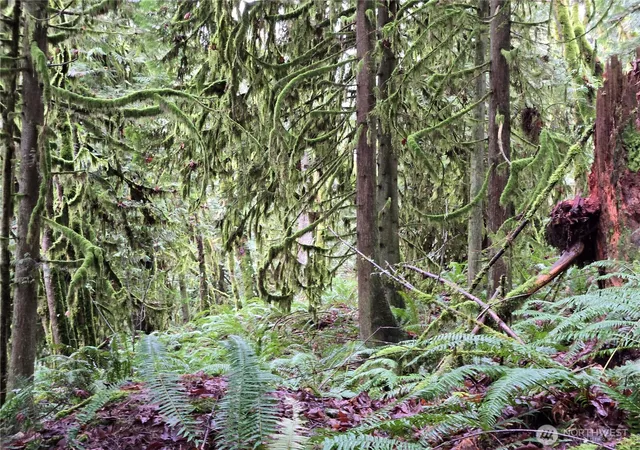 Photo 3 of Land for sale at 184 Xx 123rd (central Lot) Ave NE, Arlington, WA 98223 | MLS# NWM2489832 | Listing updated on 2026-09-17