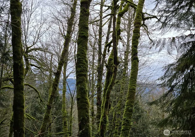 Photo 3 of Land for sale at 183 Xx 123rd (southern Lot) Ave Ne, Arlington, WA 98223 | MLS# NWM2489853 | Listing updated on 2026-09-17