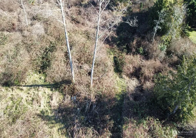 Photo 3 of Land for sale at 1210 Irondale Rd, Port Hadlock, WA 98339 | MLS# NWM2489898 | Listing updated on 2026-09-17