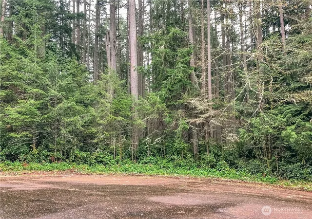 Photo 1 of Land for sale at 12514 93rd Street Ct, Anderson Island, WA 98303 | MLS# NWM2490026 | Listing updated on 2026-09-17