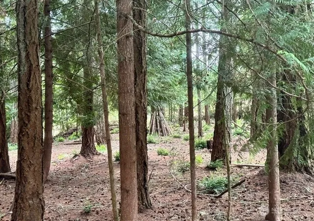 Photo 4 of Land for sale at 12514 93rd Street Ct, Anderson Island, WA 98303 | MLS# NWM2490026 | Listing updated on 2026-09-17