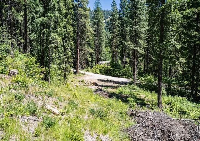 Photo 4 of Land for sale at 16757 2nd Creek Rd, Leavenworth, WA 98826 | MLS# NWM2490101 | Listing updated on 2026-09-17