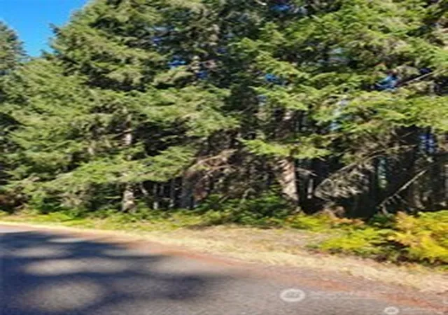 Photo 1 of Land for sale at 10511 130th Avenue, Anderson Island, WA 98303 | MLS# NWM2490145 | Listing updated on 2026-09-17