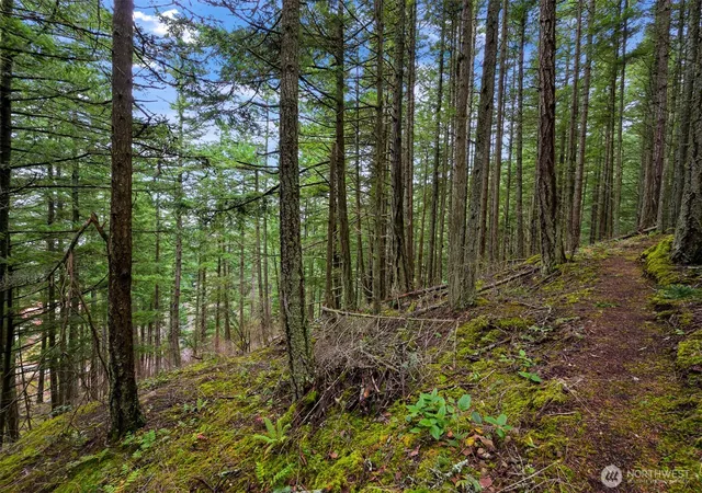Photo 3 of Land for sale at 3071 Hales Psge Dr, Lummi Island, WA 98262 | MLS# NWM2490415 | Listing updated on 2026-09-17