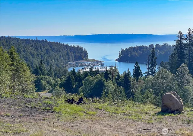 Photo 3 of Land for sale at 3 Xxxx Mt Jupiter Rd, Brinnon, WA 98320 | MLS# NWM2490583 | Listing updated on 2026-09-17