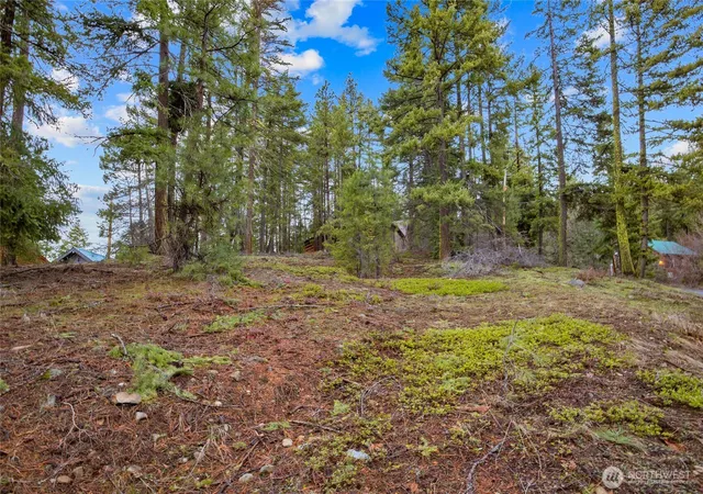 Photo 2 of Land for sale at 0 Lot 12 Pine Loch Sun Dr, Ronald, WA 98940 | MLS# NWM2491318 | Listing updated on 2026-09-17