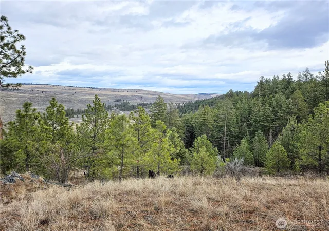 Photo 1 of Land for sale at 315 W Corral Dr, Oroville, WA 98844 | MLS# NWM2491321 | Listing updated on 2026-09-17