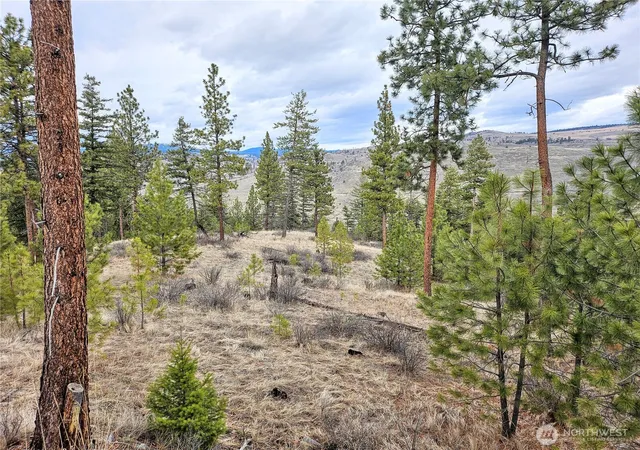 Photo 2 of Land for sale at 315 W Corral Dr, Oroville, WA 98844 | MLS# NWM2491321 | Listing updated on 2026-09-17