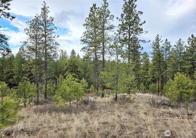 Photo 3 of Land for sale at 315 W Corral Dr, Oroville, WA 98844 | MLS# NWM2491321 | Listing updated on 2026-09-17