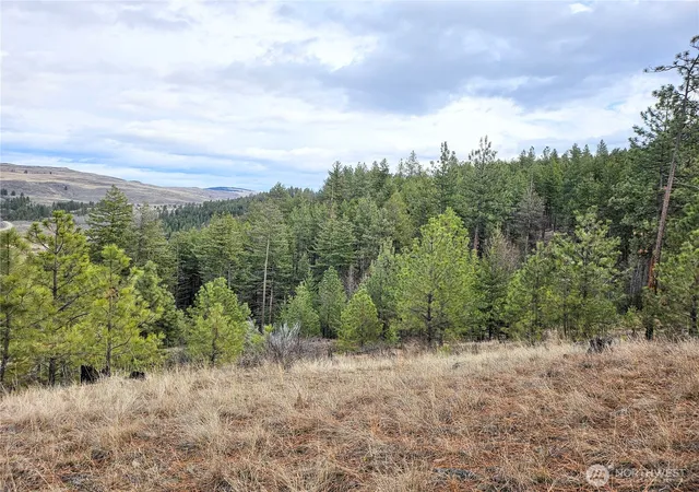 Photo 3 of Land for sale at 315 W Corral Dr, Oroville, WA 98844 | MLS# NWM2491321 | Listing updated on 2026-09-17