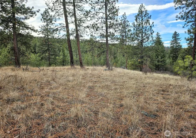 Photo 4 of Land for sale at 315 W Corral Dr, Oroville, WA 98844 | MLS# NWM2491321 | Listing updated on 2026-09-17