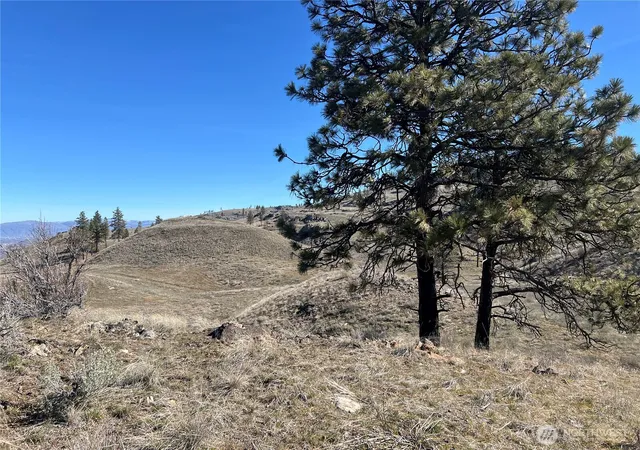 Photo 3 of Land for sale at 0 Nna Soap Lake Rd, Malott, WA 98829 | MLS# NWM2491486 | Listing updated on 2026-09-17