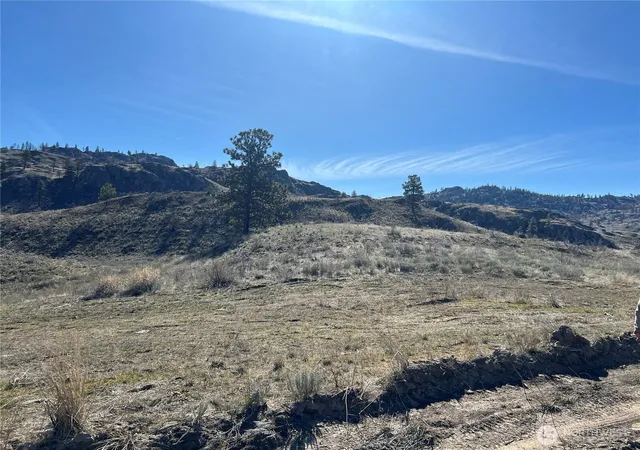 Photo 4 of Land for sale at 0 Nna Soap Lake Rd, Malott, WA 98829 | MLS# NWM2491486 | Listing updated on 2026-09-17