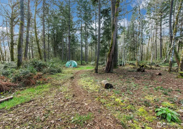 Land for sale at 17124 80th Street SW, Longbranch, WA 98351 | MLS# NWM2491725