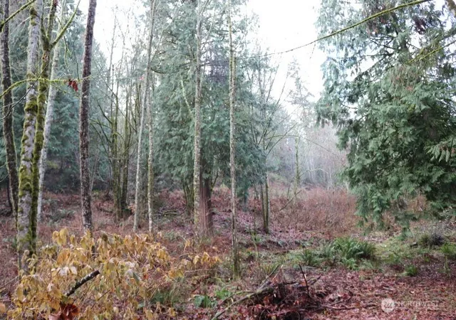 Photo 3 of Land for sale at 18700 Se 64th Way, Issaquah, WA 98027 | MLS# NWM2492179 | Listing updated on 2026-09-17