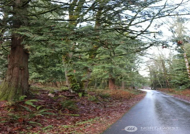Photo 4 of Land for sale at 18700 SE 64th Way, Issaquah, WA 98027 | MLS# NWM2492179 | Listing updated on 2026-09-17
