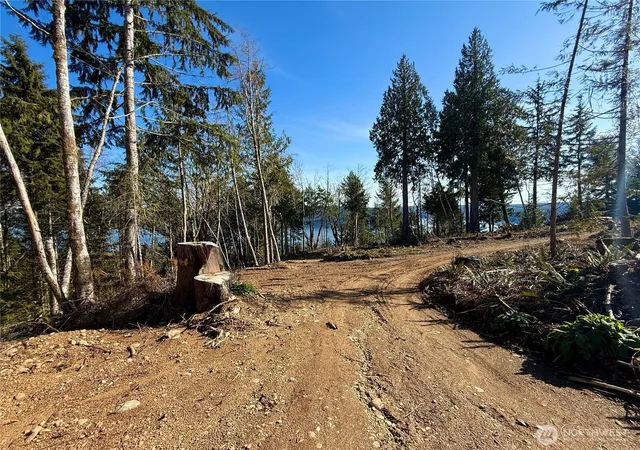 Photo 3 of Land for sale at 63 Devereaux Dr, Lilliwaup, WA 98555 | MLS# NWM2492217 | Listing updated on 2026-09-17