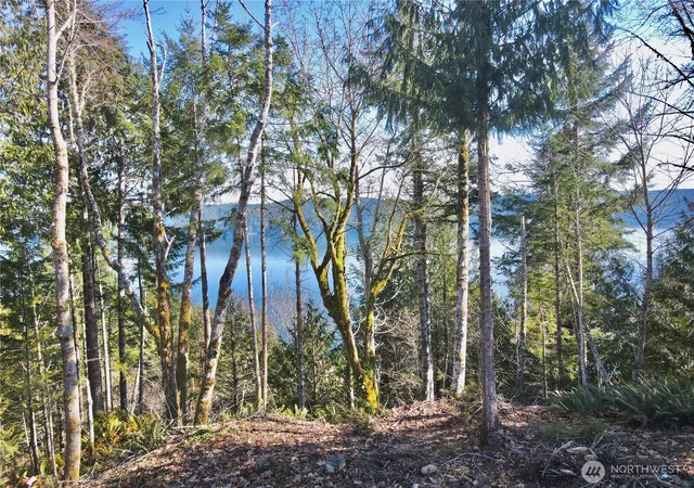 Photo 3 of Land for sale at 63 Devereaux Dr, Lilliwaup, WA 98555 | MLS# NWM2492217 | Listing updated on 2026-09-17