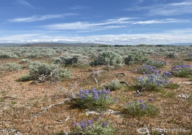 Photo 3 of Land for sale at 1160 Lester Rd, Ellensburg, WA 98926 | MLS# NWM2492271 | Listing updated on 2026-09-22