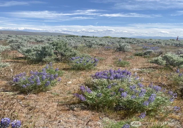 Photo 4 of Land for sale at 1160 Lester Rd, Ellensburg, WA 98926 | MLS# NWM2492271 | Listing updated on 2026-09-22