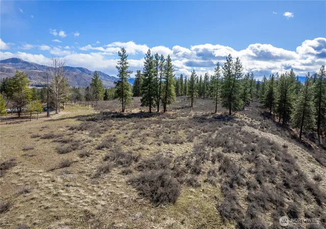 Land for sale at 40 Tbd Rabbit House Rd, Winthrop, WA 98862 | MLS# NWM2492467
