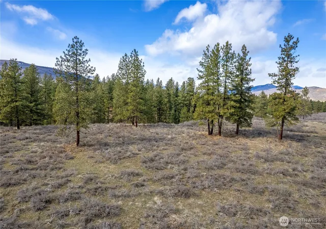 Photo 3 of Land for sale at 40 Tbd Rabbit House Rd, Winthrop, WA 98862 | MLS# NWM2492467 | Listing updated on 2026-09-17