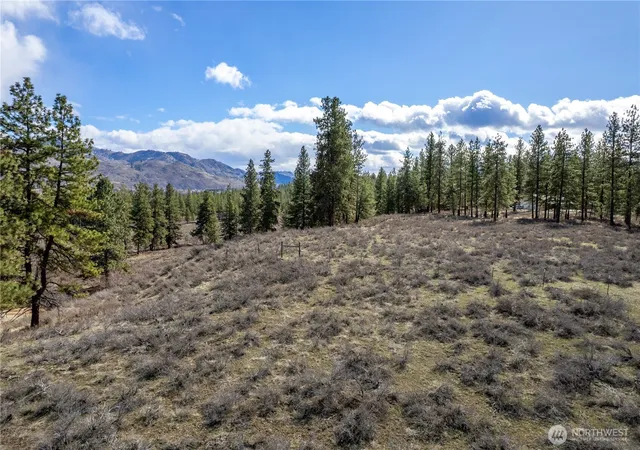 Photo 4 of Land for sale at 40 Tbd Rabbit House Rd, Winthrop, WA 98862 | MLS# NWM2492467 | Listing updated on 2026-09-17