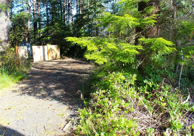 Photo 3 of Land for sale at 43 Dolphin Ln, Copalis Beach, WA 98535 | MLS# NWM2492640 | Listing updated on 2026-09-17
