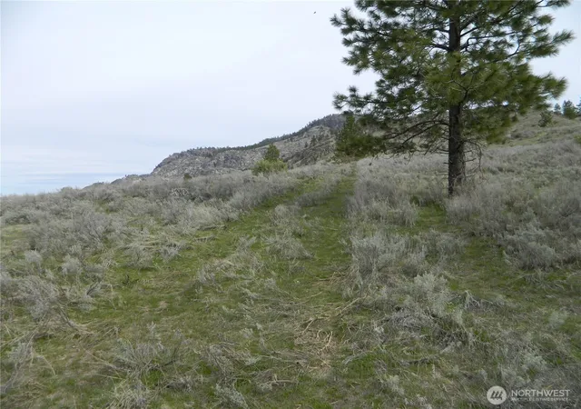 Photo 3 of Land for sale at 0 Tbd Six Gun Way, Tonasket, WA 98855 | MLS# NWM2492755 | Listing updated on 2026-09-29