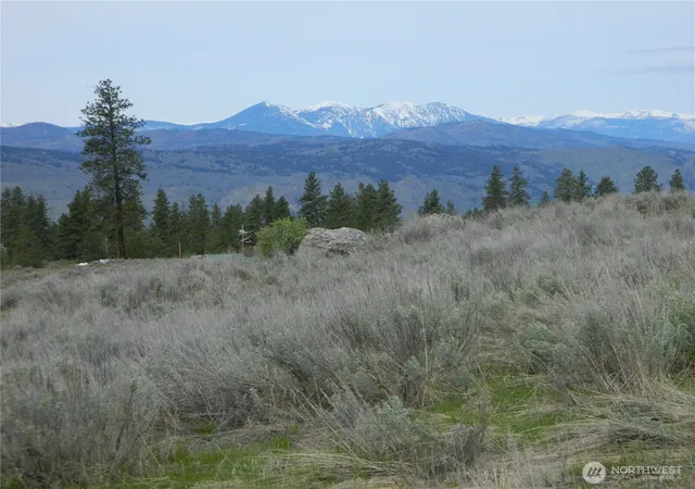 Photo 4 of Land for sale at 0 Tbd Six Gun Way, Tonasket, WA 98855 | MLS# NWM2492755 | Listing updated on 2026-09-29