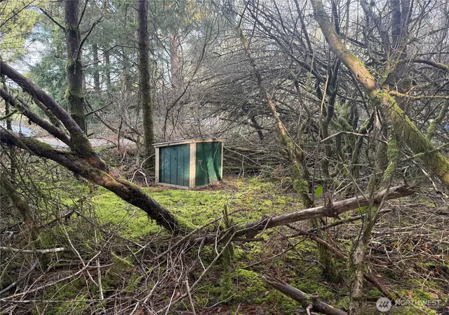 Land for sale at 142 Xxx 142nd Ln, Long Beach, WA 98631 | MLS# NWM2492787