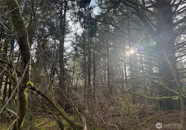 Photo 2 of Land for sale at 142 Xxx 142nd Ln, Long Beach, WA 98631 | MLS# NWM2492787 | Listing updated on 2026-09-17