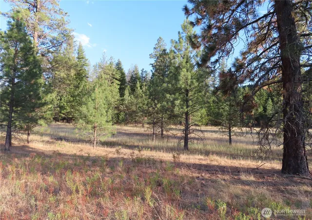 Photo 1 of Land for sale at 0 Toroda Crk Rd, Curlew, WA 99118 | MLS# NWM2493231 | Listing updated on 2026-09-17