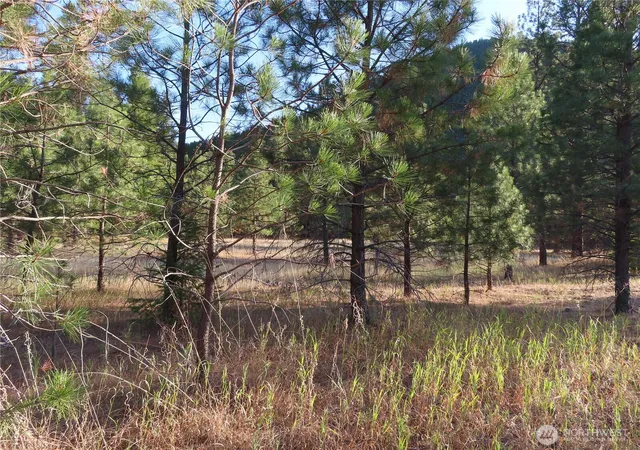 Photo 2 of Land for sale at 0 Toroda Crk Rd, Curlew, WA 99118 | MLS# NWM2493231 | Listing updated on 2026-09-17