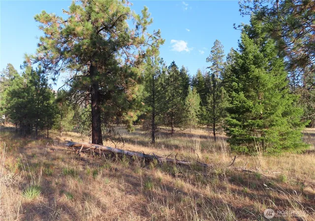 Photo 3 of Land for sale at 0 Toroda Crk Rd, Curlew, WA 99118 | MLS# NWM2493231 | Listing updated on 2026-09-17