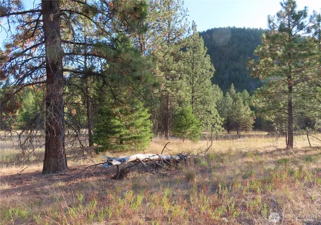 Photo 3 of Land for sale at 0 Toroda Crk Rd, Curlew, WA 99118 | MLS# NWM2493231 | Listing updated on 2026-09-17