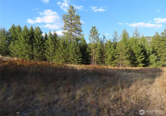 Photo 4 of Land for sale at 0 Toroda Crk Rd, Curlew, WA 99118 | MLS# NWM2493231 | Listing updated on 2026-09-17
