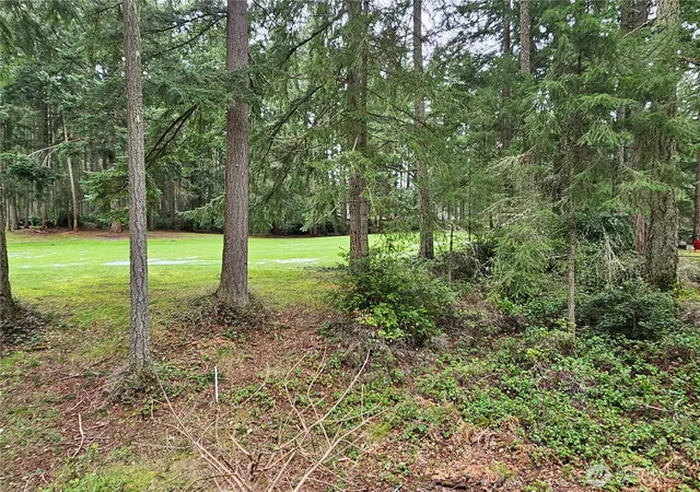 Photo 1 of Land for sale at 11005 Pioneer Dr, Anderson Island, WA 98303 | MLS# NWM2493460 | Listing updated on 2026-10-01