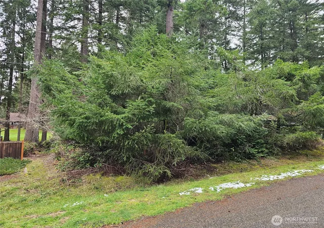 Photo 2 of Land for sale at 11005 Pioneer Dr, Anderson Island, WA 98303 | MLS# NWM2493460 | Listing updated on 2026-10-01