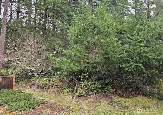Photo 3 of Land for sale at 11005 Pioneer Dr, Anderson Island, WA 98303 | MLS# NWM2493460 | Listing updated on 2026-10-01