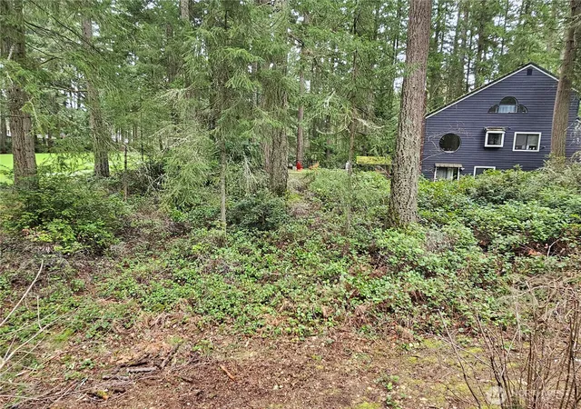 Photo 3 of Land for sale at 11005 Pioneer Dr, Anderson Island, WA 98303 | MLS# NWM2493460 | Listing updated on 2026-10-01
