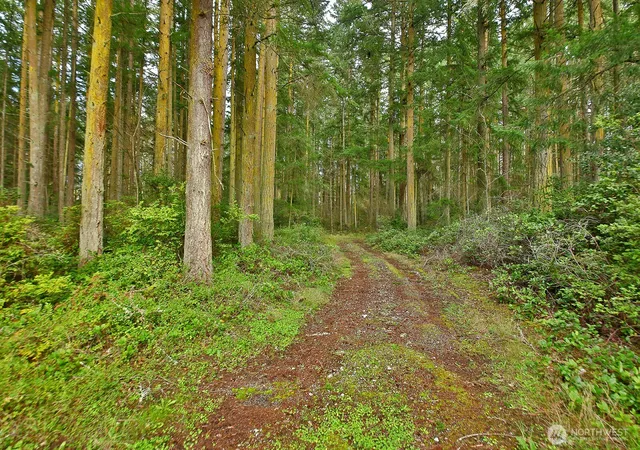 Photo 1 of Land for sale at 0 Xxx Mutiny Bay Rd, Freeland, WA 98249 | MLS# NWM2493613 | Listing updated on 2026-09-17